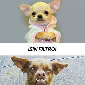 Meet your Posher, Andrés